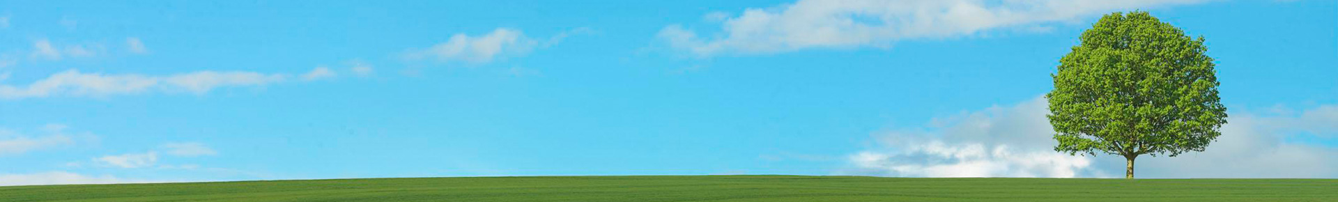 banner-image